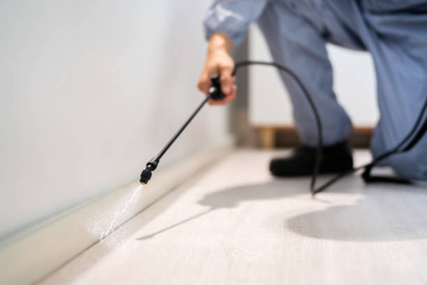 Licensed Pest Control service in Mount Vernon, IA - Show Me Pest Control